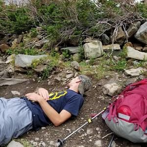 Meet your Posher, Ross